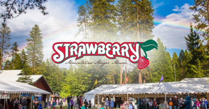 when is the strawberry music festival 2023